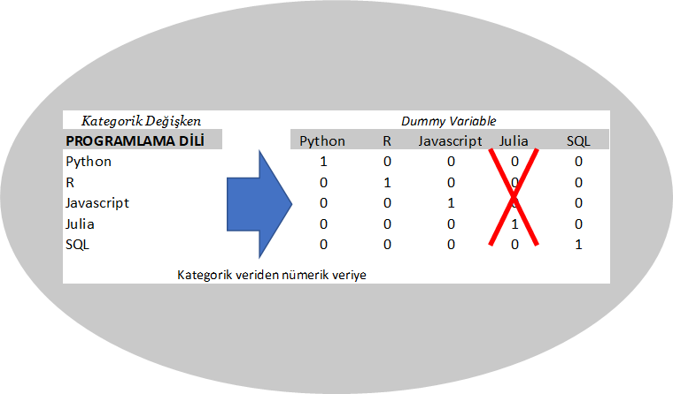 Veri Biliminde Kategorik Değişkenler, Dummy (Kukla) Variable ve Python  Uygulaması | by Yiğit Şener | Medium