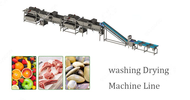 Fruit washer machine plays a vital role in fruit processing line