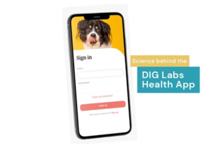 DIG Labs  Take a photo and know what to do – DIG labs
