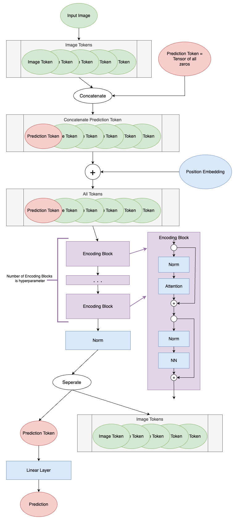 Flower Classification with Vision Transformer: A Journey into ...