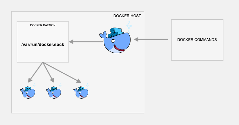 Inside the Container: Exploring the Pros and Cons of Docker in Docker ...