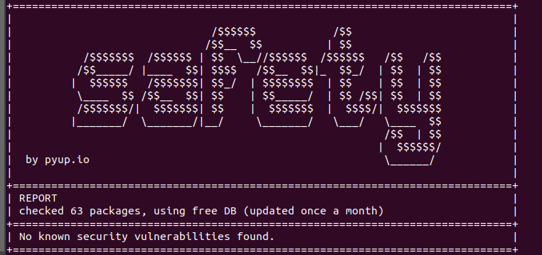 Checking for vulnerabilities in Python with Safety | by Jcdan | System ...