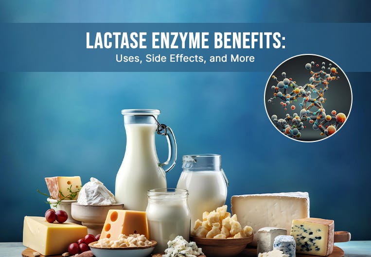 The Power of Lactase Enzyme Ultreze Enzymes Delivers Insights on Uses