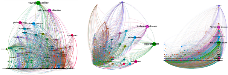 Position Ranking Plugin for Gephi | by Dr. Veronica Espinoza | Medium