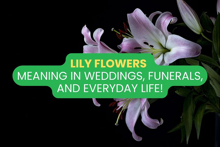 lily flowers meaning lily flowers meaning