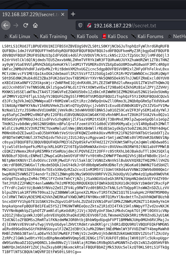 secret file