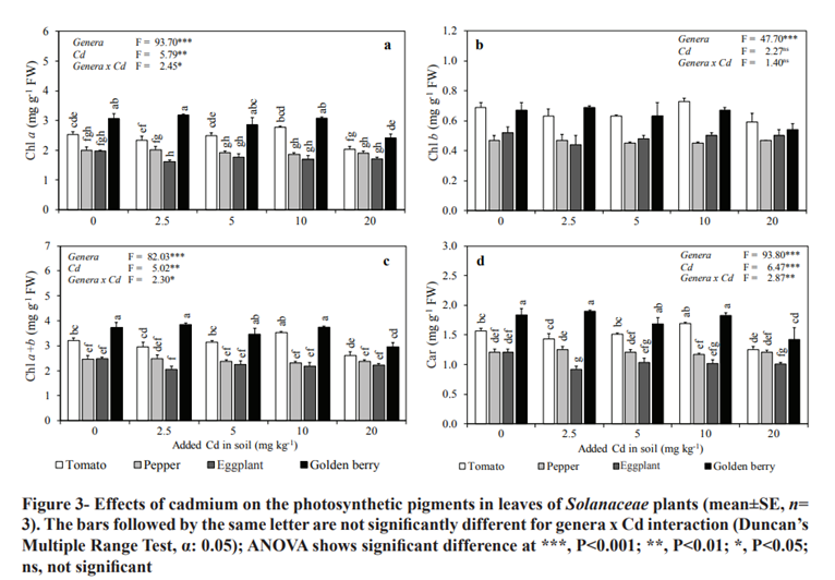 Cadmium Toxicity and its Effects on Growth and Metal Nutrient Ion