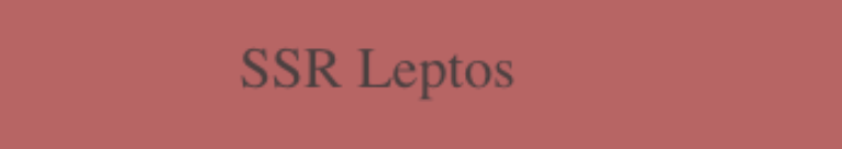 What are the SSR options in leptos?