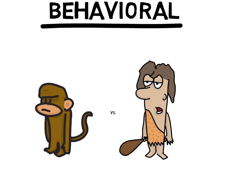 Token Map Video Series. 4 — Explainer Video Token Properties &… by