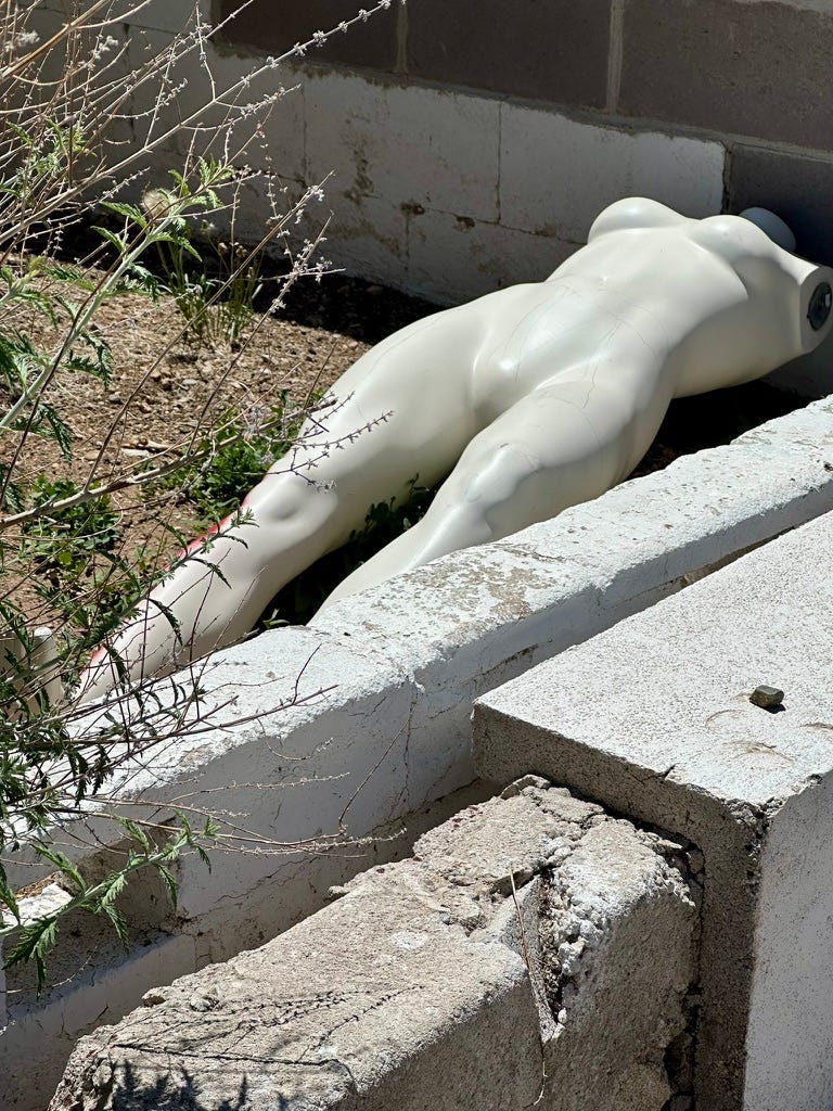The Bone Yard: A Civil Wars Tale
