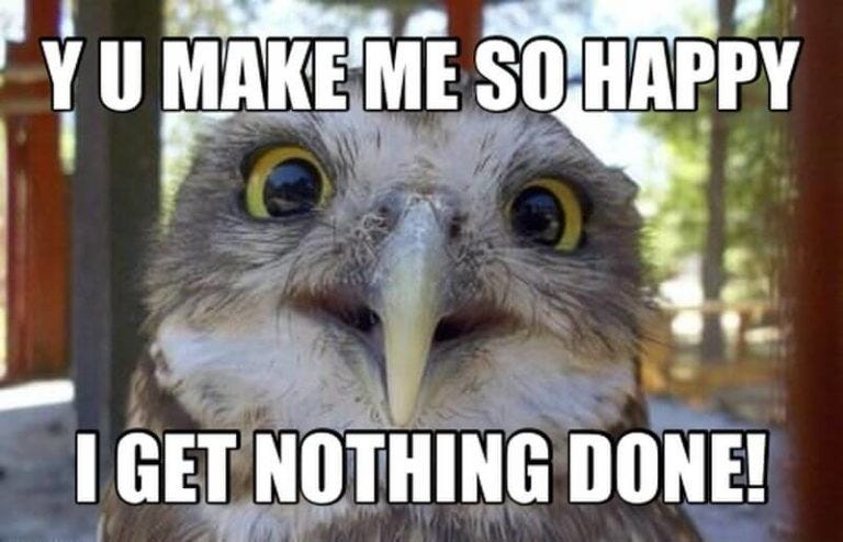 65 Happy Memes to Brighten Your Day in 2026 — Happier Human