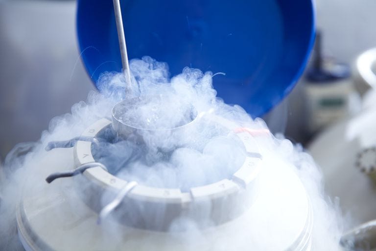 What Is A Cryogenic Storage Dewar? by Tomorrow Biostasis GmbH Medium