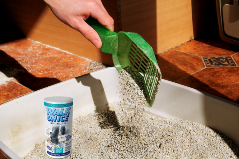 Cat Litter For Ice Traditional Methods Vs. Modern Traction Solutions