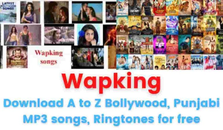 Unveiling the World of Wapking Your Ultimate Entertainment Hub | by pvsv  rekha | Medium