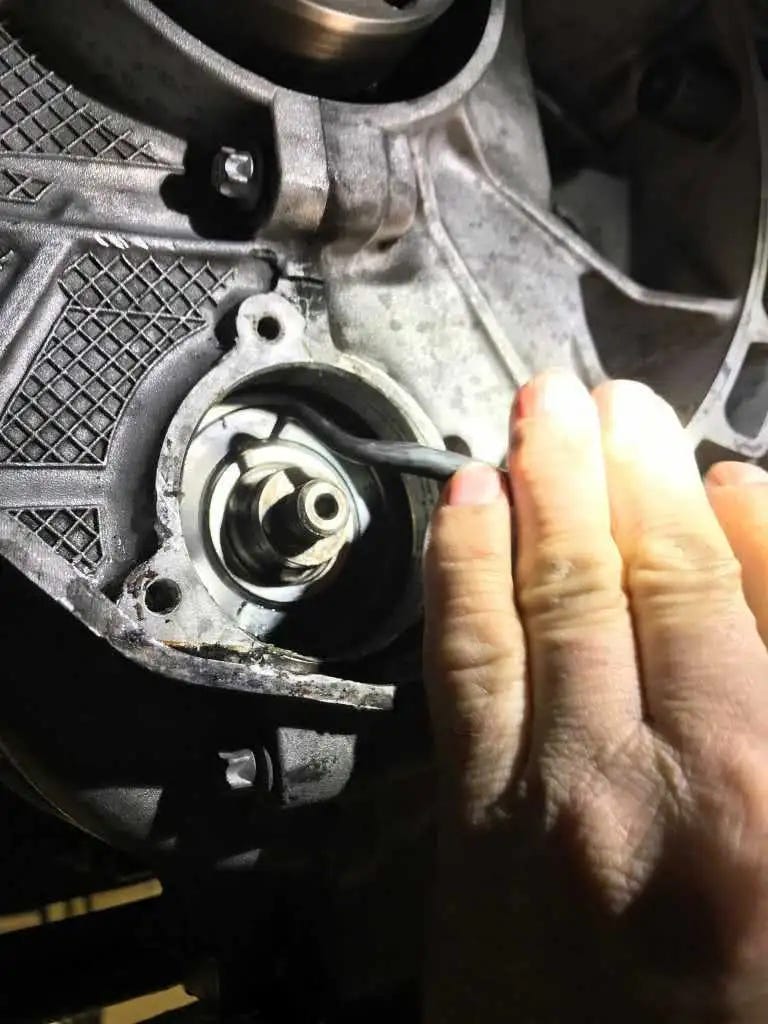 Removing the grease seal is all you have to do to extend the life of the original IMS bearing.
