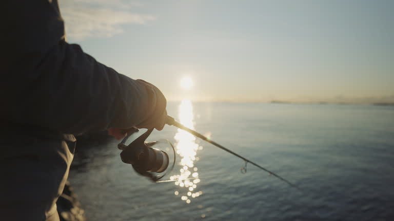 Do Expensive Fishing Reels Really Make a Difference: Understanding Spinning Reels
