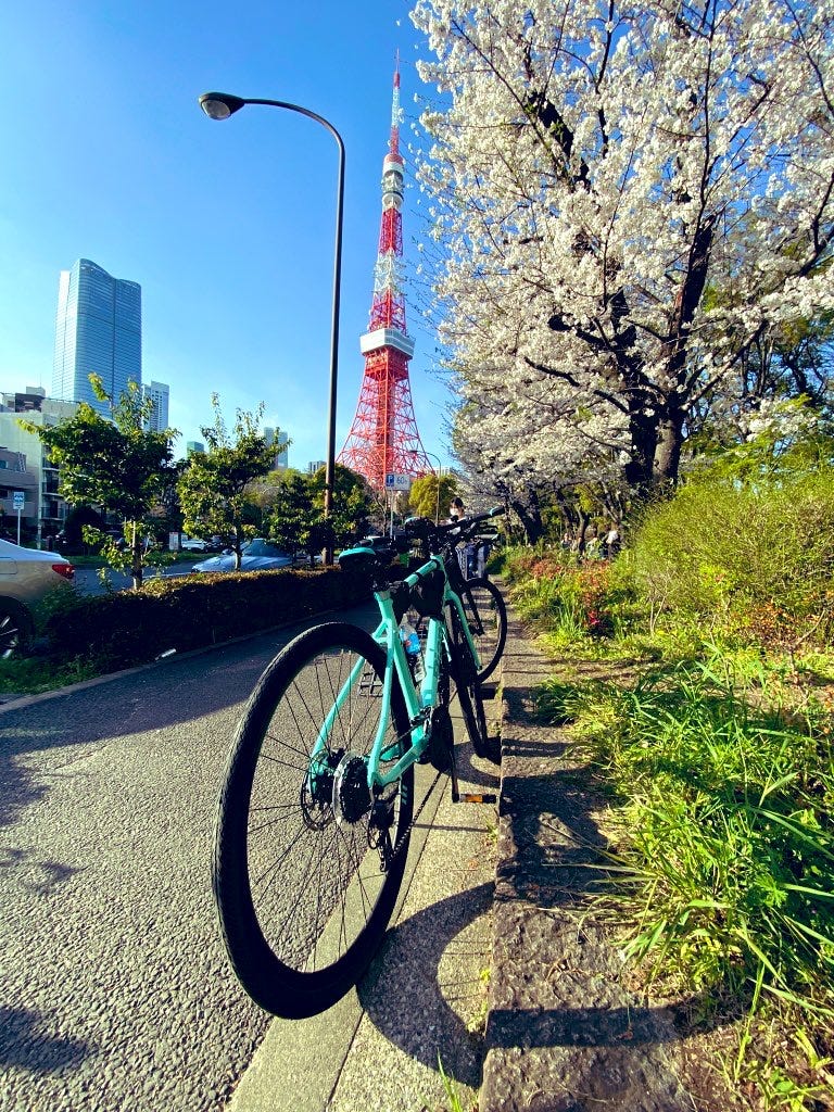 Shiba Park:Starting our high-energy spring journey under the iconic Tokyo Tower.