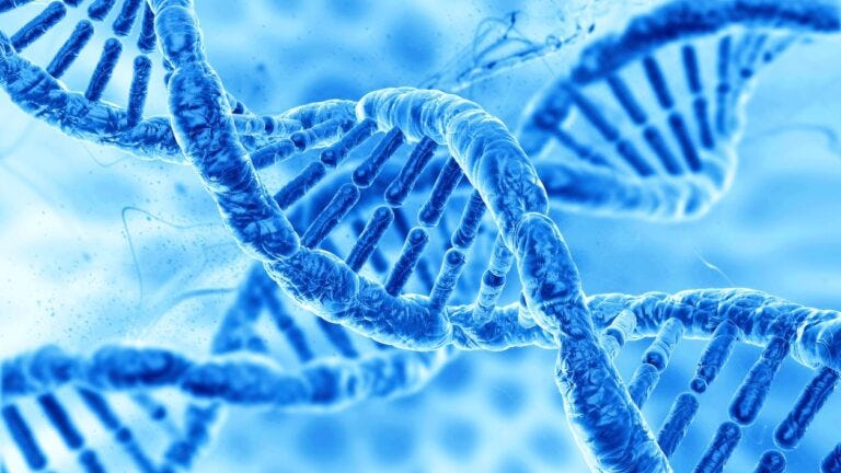 Could Your Genome Become Your Biggest Privacy Risk?