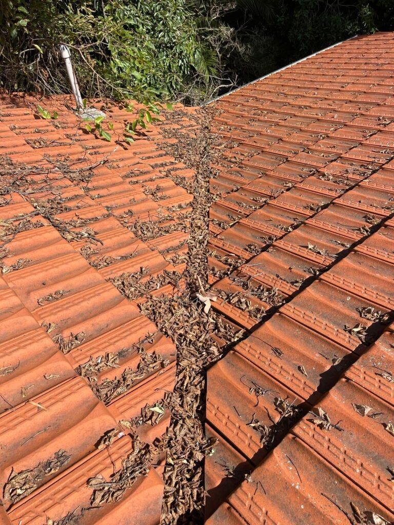 Gutter Cleaning Hoppers Crossing — Protect Your Home