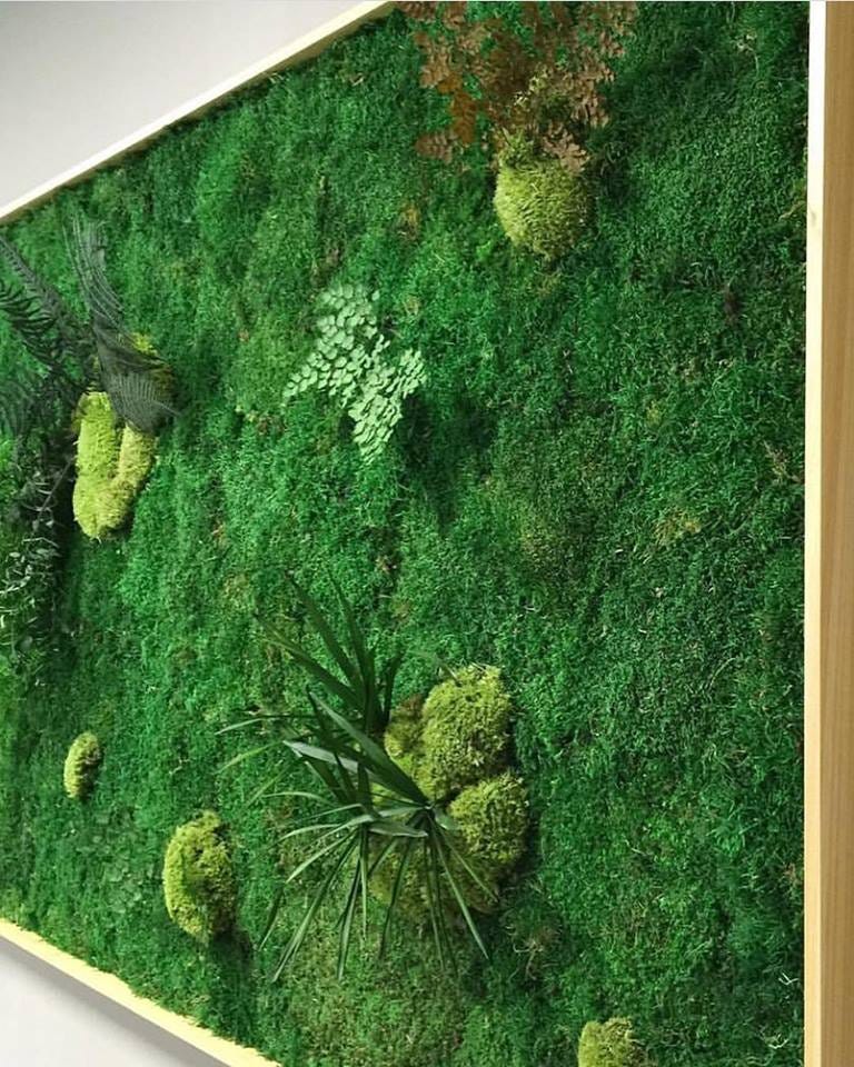Best Moss wall installation Dubai Moss Walls in UAE, Dubai by