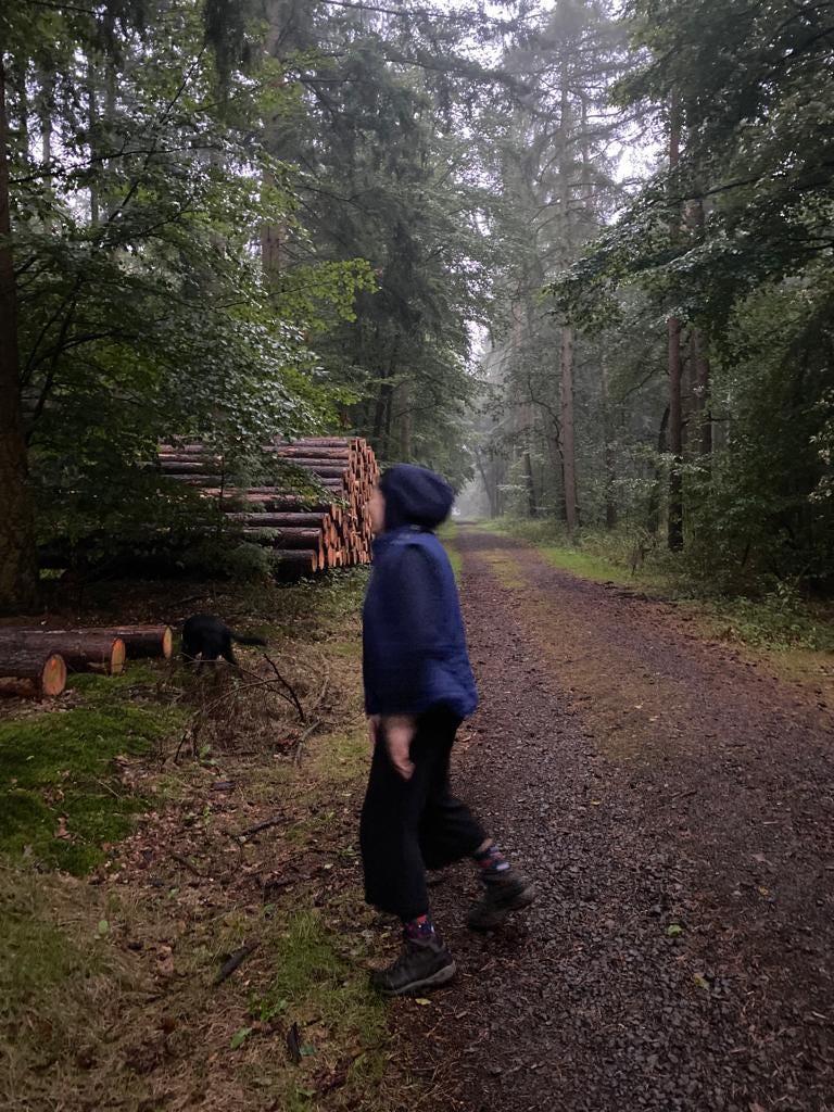 Today is my birthday. Today is my birthday. | by Grievencesofnewadult