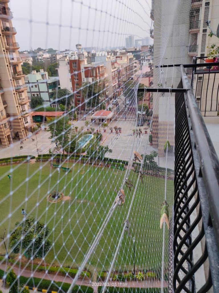 Get Pigeon Net Install ation In Gurgaon & Hire Us For Pigeon Net For