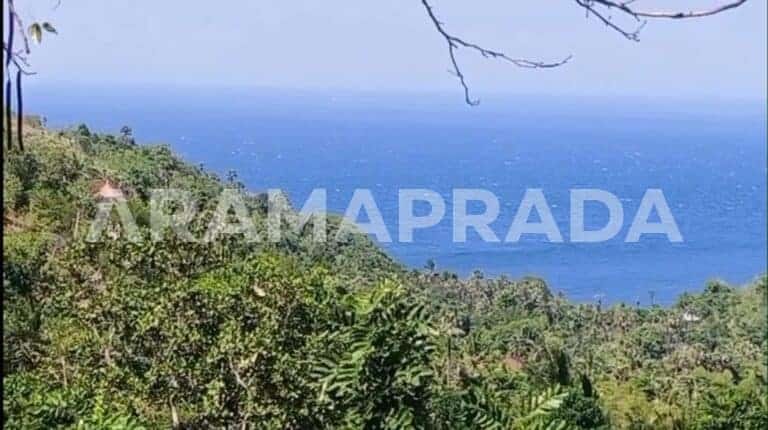 Jual Tanah 5780m2 Amed Karangasem Atas Tebing View Laut Gunung Rinjani