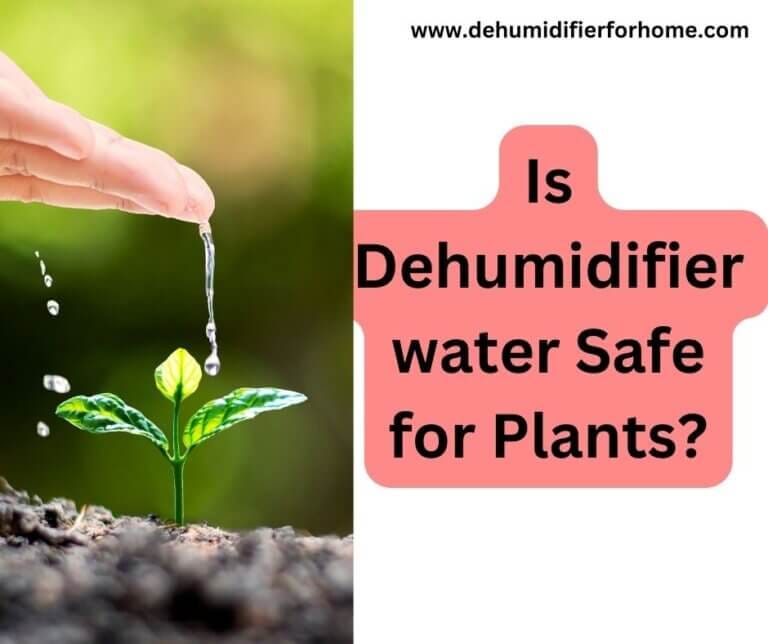 Is Dehumidifier water Safe for Plants? dehumidifier for home Medium