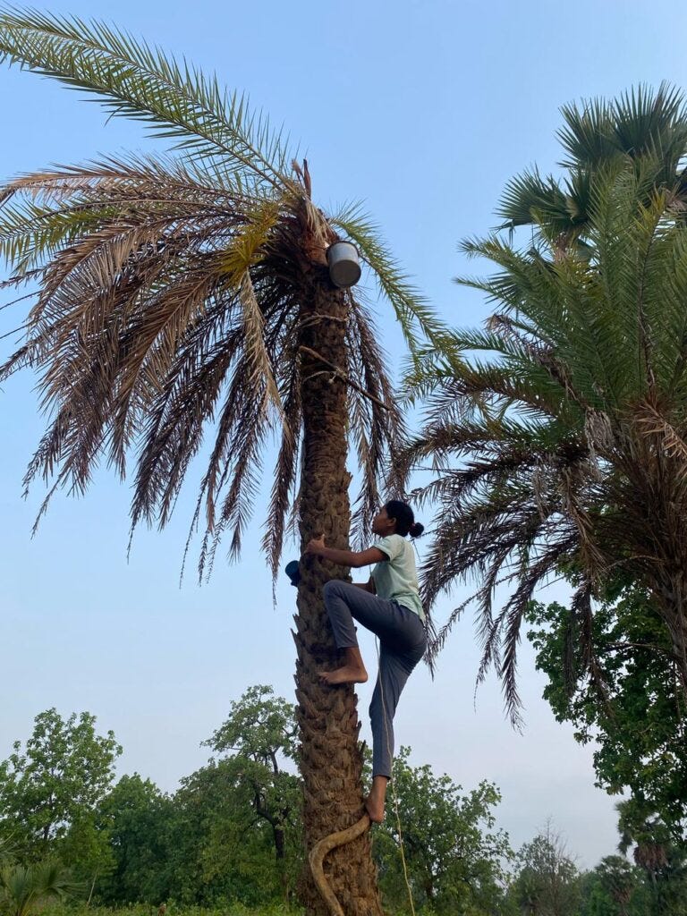 Caught Between Chind Ras And Pregnant Crabs