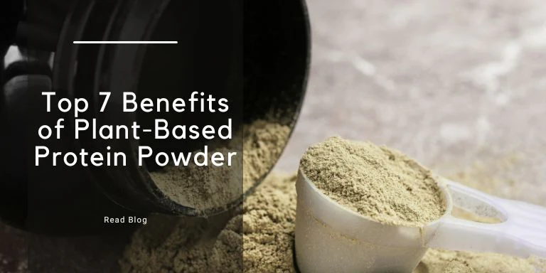 Plant Based Protein Powders & Protein Shakes, Blog