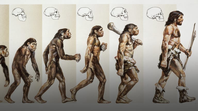 Homo habilis—A Premature Discovery: Remembered by One of Its