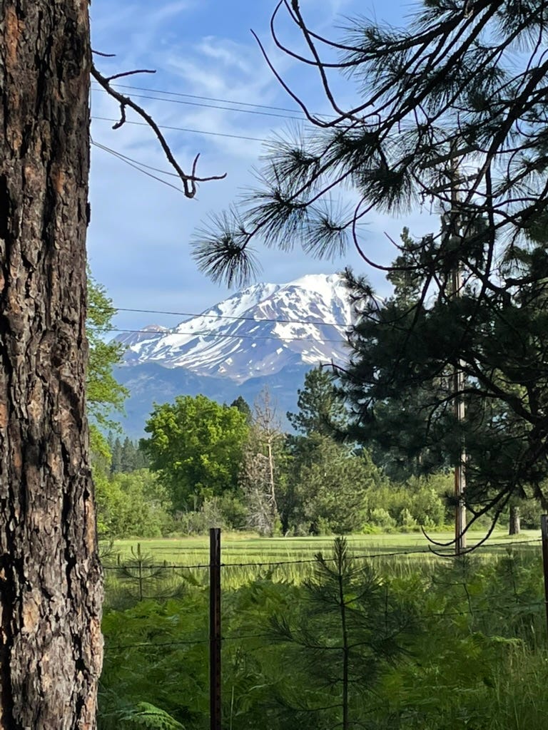 This area has got to have some of the most scenic in Northern California.