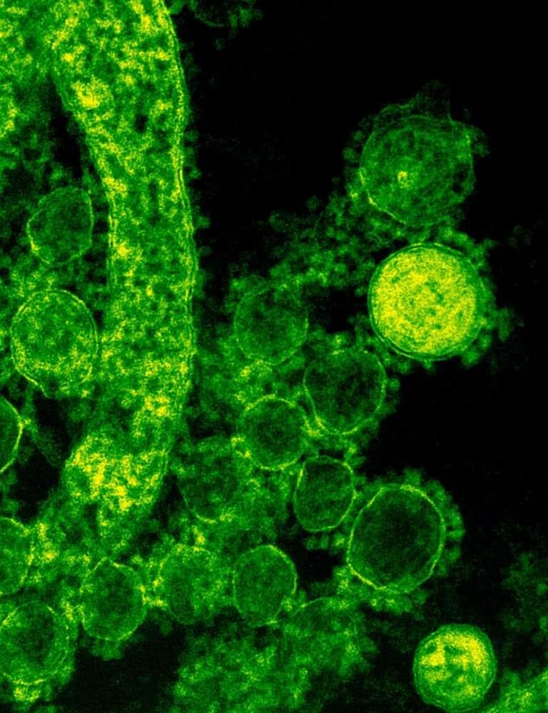 All You Need to Know About H3N2 Virus & Its Signs — Blogeefy