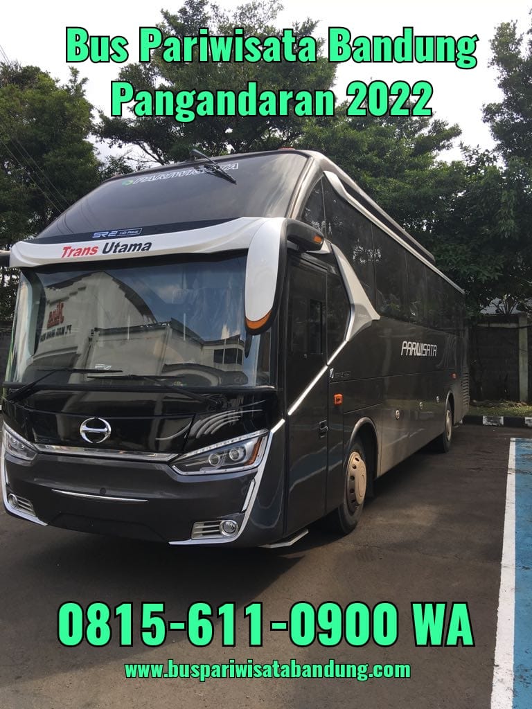 Mengungkap Rahasia Tarif Bus Pariwisata Murah: Panduan Lengkap untuk Liburan Hemat dan Nyaman