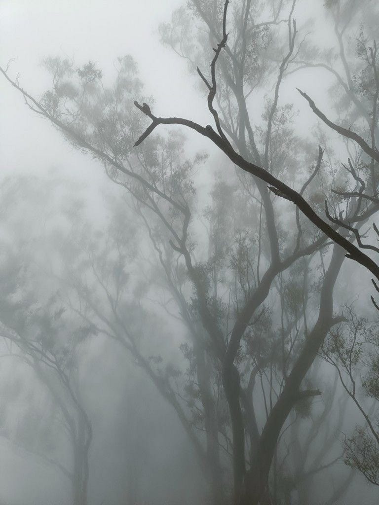 I Encountered a White Shadow at Night – and It Was Nothing Like the Dark Ones