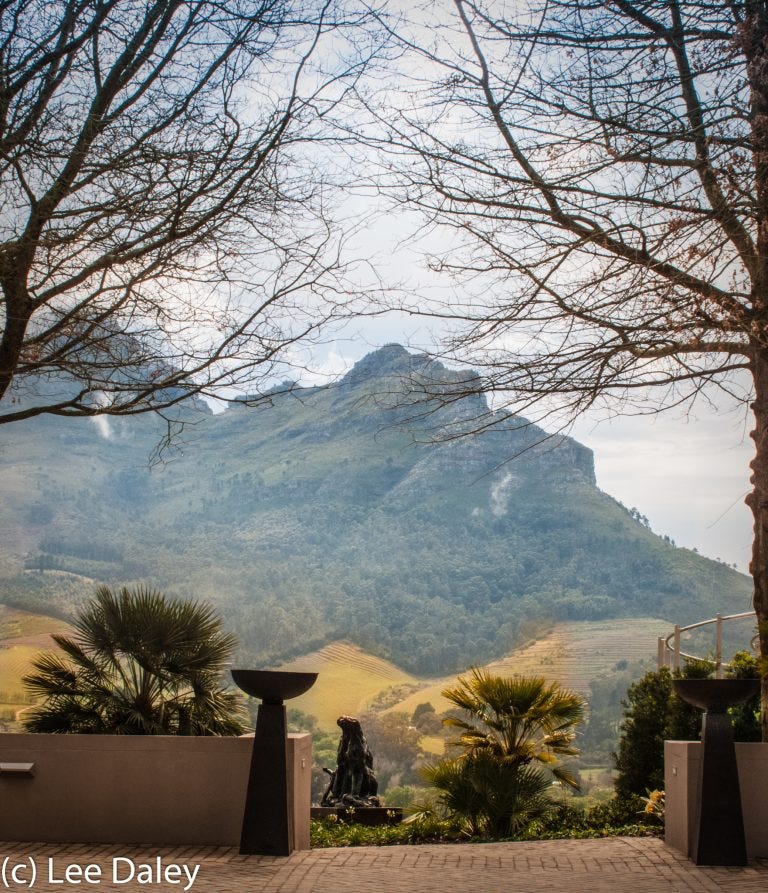 Art in the Vineyards, Cape Winelands.
