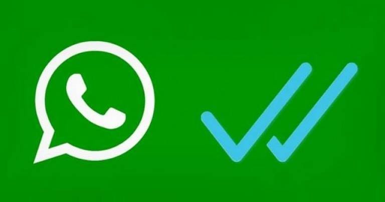Whatsapp पर भी दिखेगा Blue Tick फीचर, जानें वेरिफिकेशन प्रोसेस

BUSINESS NEWS Blue Tick feature will also be visible on Whatsapp, know the verification process