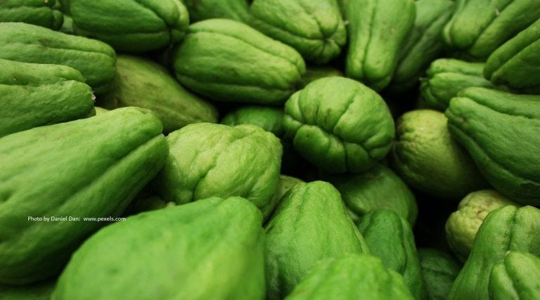Chayote Enhances Skin Health: The Secret to Beautiful Skin