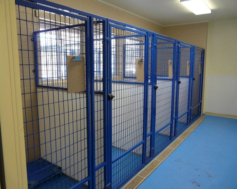 Hidden benefits of Dog and cat kennels by metalinkkennels Medium
