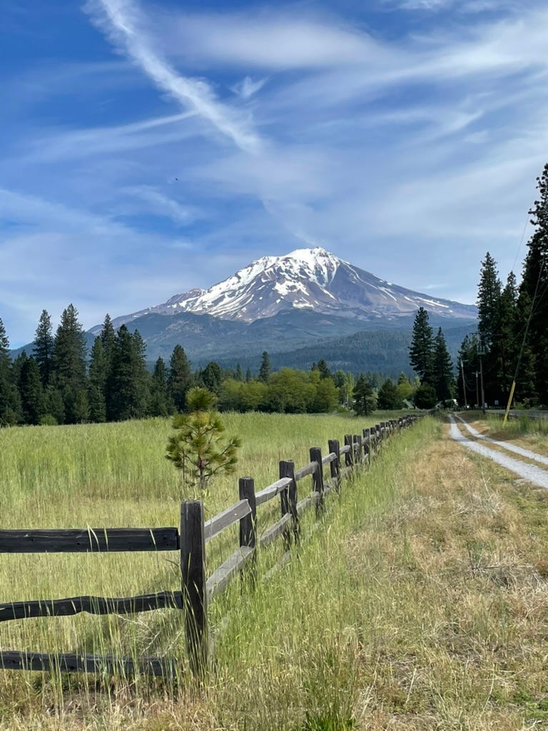 The path leads to the Italian Cemetery. Shasta is the omnipresent beacon.