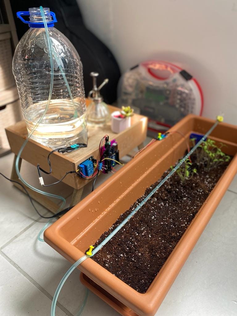 How I Saved My Plants with an Arduino Uno: A Tale of Gardening and ...