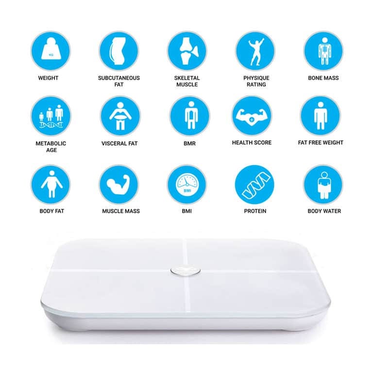 Actofit Body Fat Analyser Smart Scale by Shailendra Efraim Medium