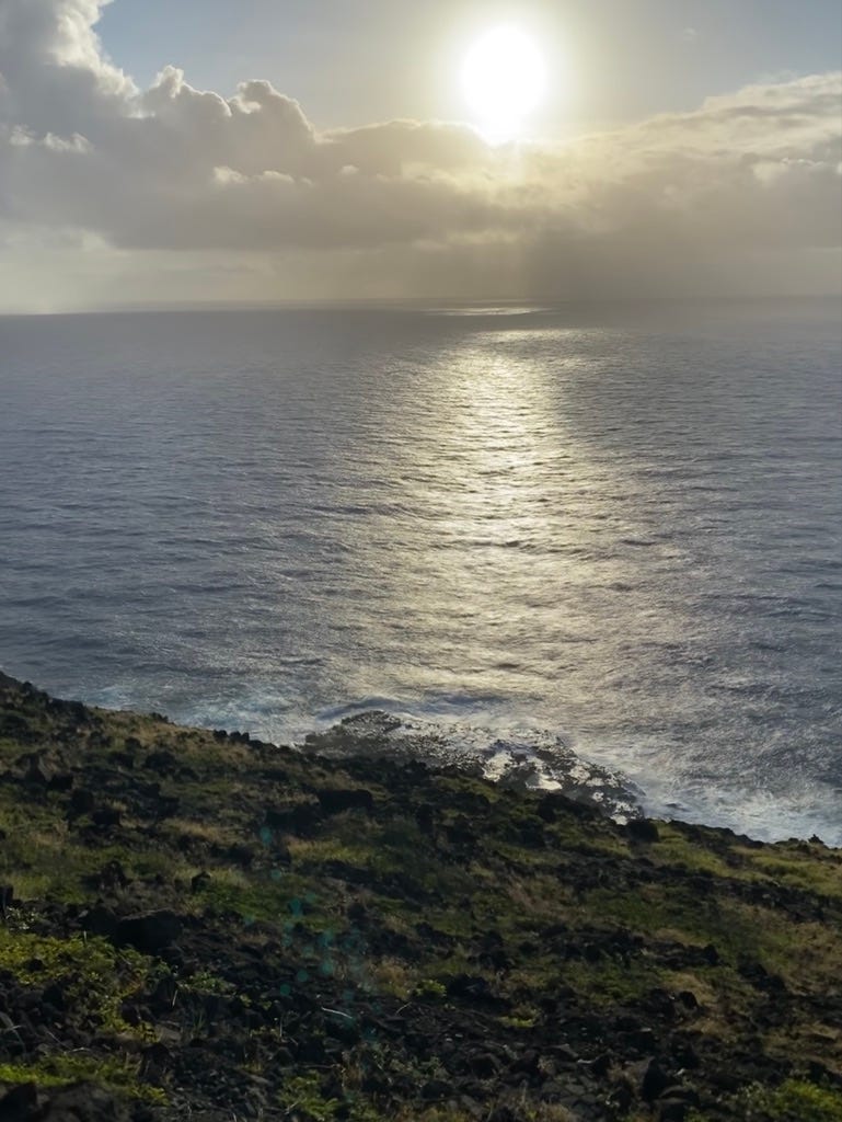 Drip, Drop, Splat. The idea for “Drip, Drop, Splat”… by Tara (Andujar