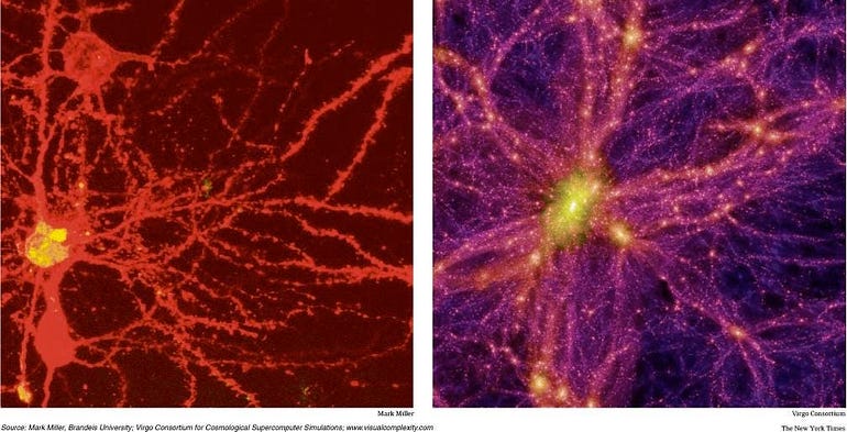 The left image is a vibrant depiction of the brain’s neurons, with their dendrites and axons creating a web-like structure highlighted in reddish hues. The right image captures the cosmic scale, showing a simulation of interconnected galaxies in the universe, with a similar web-like formation, glowing in shades of purple and yellow against the dark backdrop of space. Both images remarkably resemble each other.