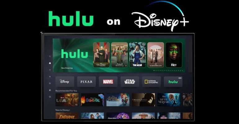 Hulu on Disney+ One-App: Is the Disney Bundle a Good Deal? | by ...