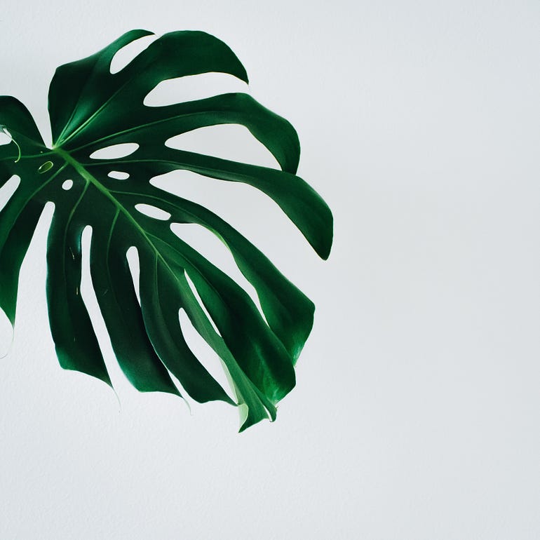 Photo by Michaela Zákopčaníková on Unsplash