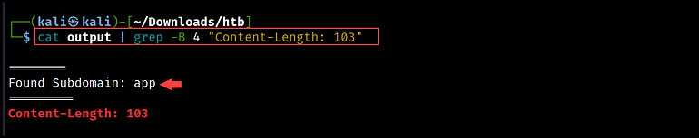 Figure 07 — shows the extracted subdomains with the grep command and the -B flag. r3d-buck3t.com