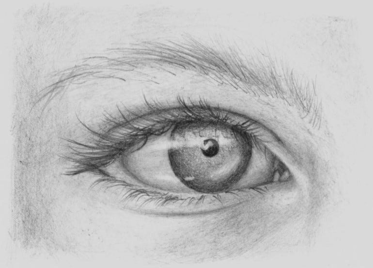 Pencil Shading Techniques for Beginning Artists - Artists Network