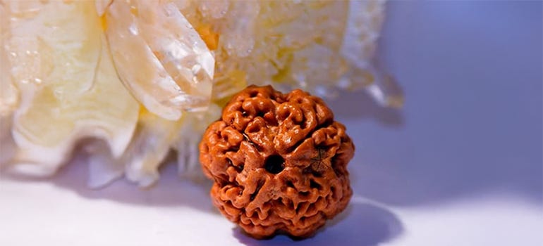 Benefits of Wearing Rudraksha and the Correct Way to Wear It