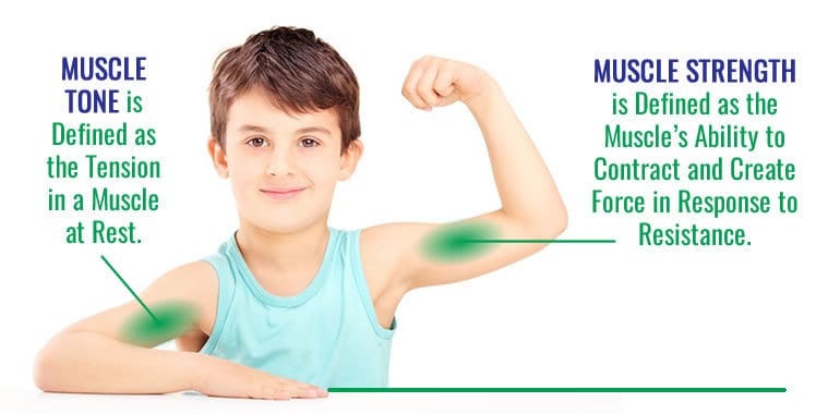 Muscle Tone and Muscle Strength — What's The Difference? | by Lindsey |  INTENSIVE THERAPY FOR KIDS | Medium